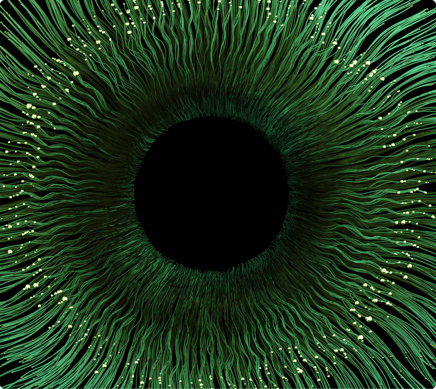 partnership (3) (1)-1